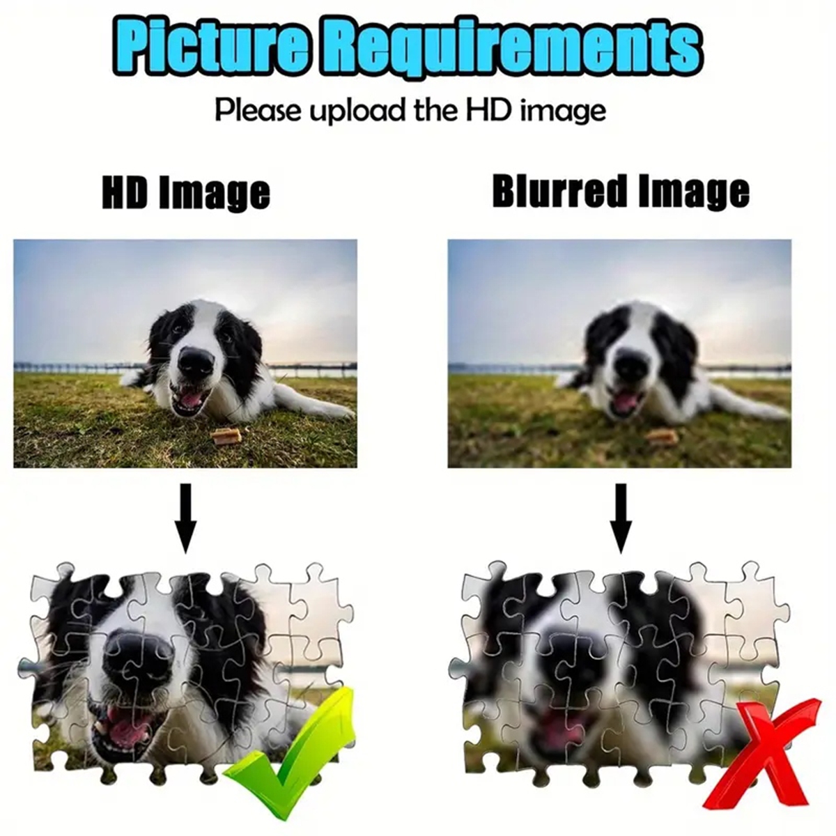 35/300/500/1000pcs Personalize - Pet Portrait Custom のレビューと価格