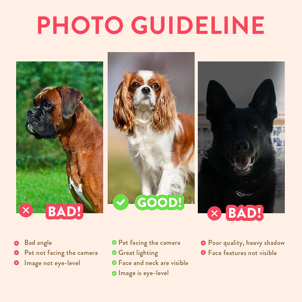 Personalized Pet Portraits Pho - Pet Portrait Custom のレビューと価格