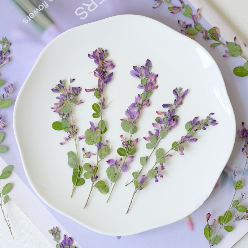 6pcs,nature Lespedeza Formosa  - Dried Flower Bookmark のレビューと価格