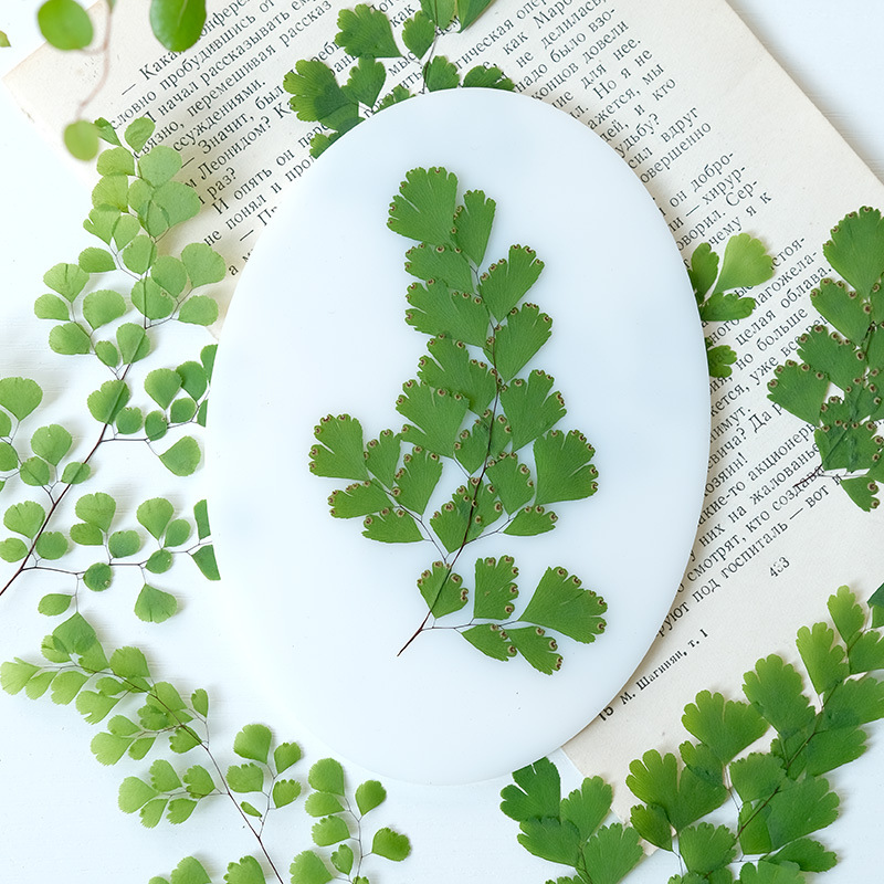60Pcs Natural Plant Real Flowe - Dried Flower Bookmark のレビューと価格