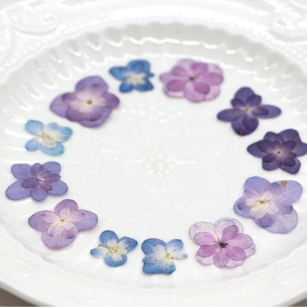 60Pcs Mini Double-Flowered Hyd - Dried Flower Bookmark のレビューと価格