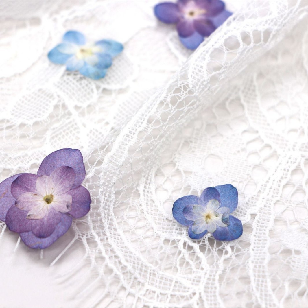 60Pcs Mini Double-Flowered Hyd - Dried Flower Bookmark のレビューと価格