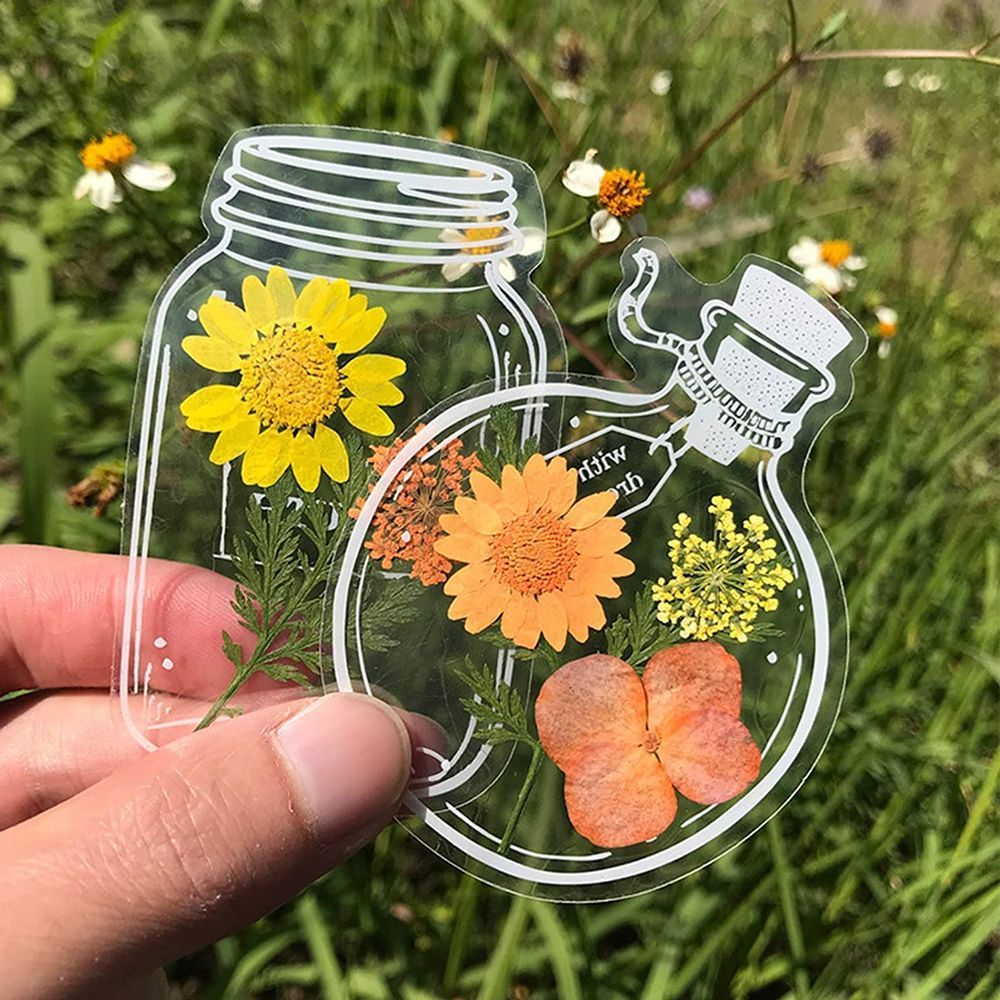 30Pcs Transparent Dried Flower - Dried Flower Bookmark のレビューと価格