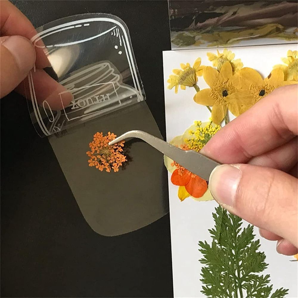 30Pcs Transparent Dried Flower - Dried Flower Bookmark のレビューと価格